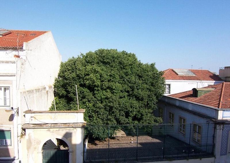 Bela Vista - Lissabon Altstadt Екстер'єр фото